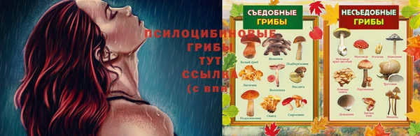 прущая мука Саяногорск